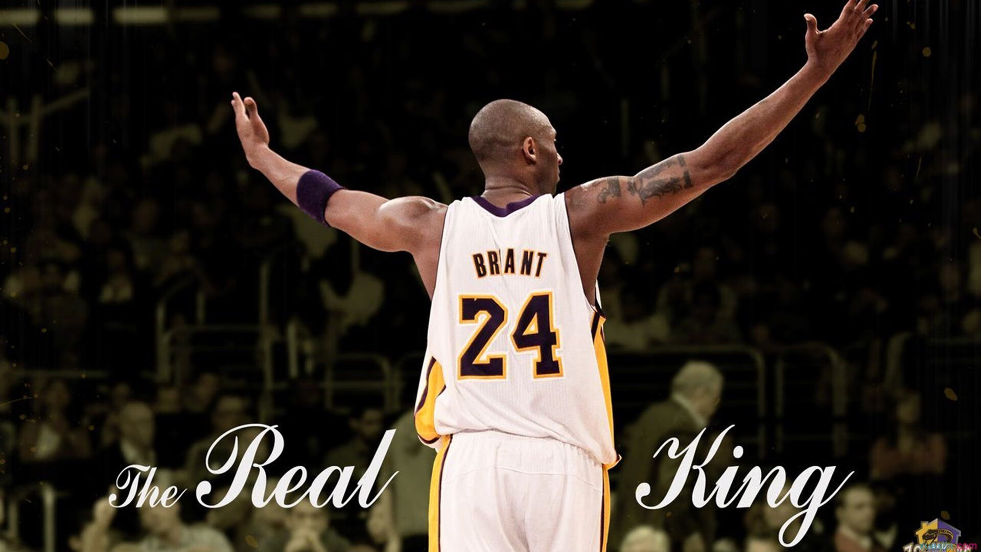 爱游戏电竞下载-体育赛事观众满意度提升策略,体育比赛观众